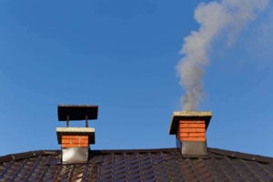 Keep Animals Out of Your Chimney - Burlington VT - Brickliners