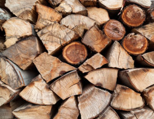 Finding properly seasoned firewood. 