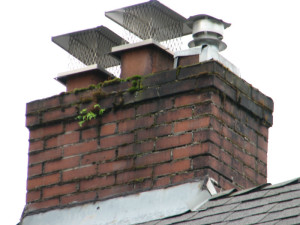 5 Reasons Your Chimney Needs a Cap Image - Burlington VT - Brickliners Custom Masonry & Chimney