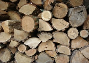 Properly Seasoning Firewood Image - Burlington VT - Brickliners Custom Masonry & Chimney Services